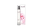 AC-22000    Acorelle Silky Rose, 30 ml