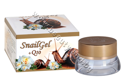 SN-005  Golden Snail Gl + Q10