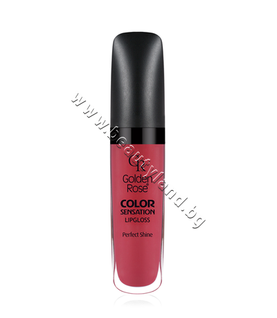 GR-27310  Golden Rose Color Sensation Lipgloss